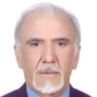بیژن شاهرخی ابراهیمی پور