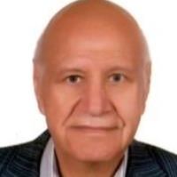 بزرگ علوی شوشتری