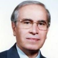 داور حسین زاده نمین