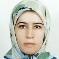 افسانه اختیاری