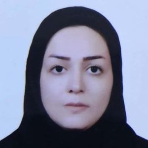 الهام محبی ابیوردی