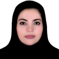 فائزه میرباقری برمی
