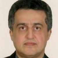 فردین میربلوک
