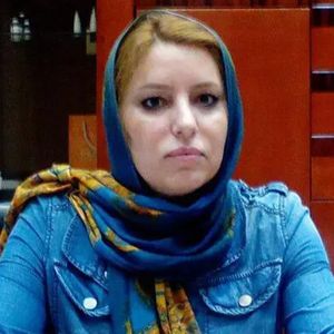 فریبا بسیج