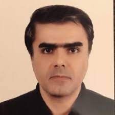 فرید مفید