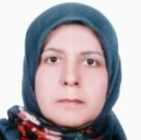 فرناز الماس گنج
