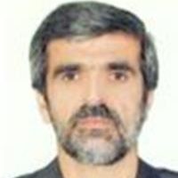 فاضل نیک بین