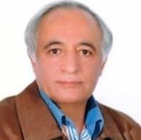غلامرضا شیخ حسنی
