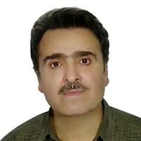 حبیب شاهی