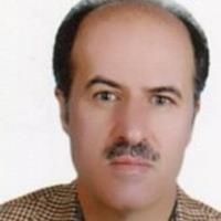 هادی محسن پور