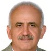 هادی نوریان