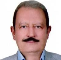 هادی رجبی