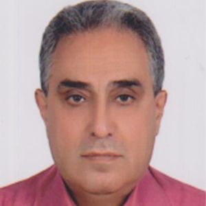 هادی سلطانمحمدی