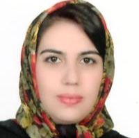 هایده حائری
