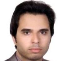 حامد ابوالحسنی