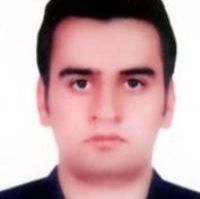 حامد انیسی