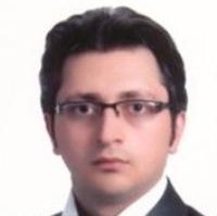 حامد محبی