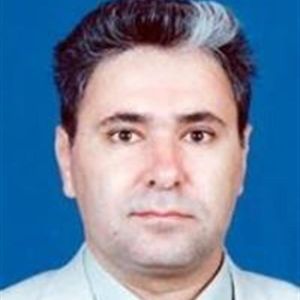 حامد ریحانی کرمانی