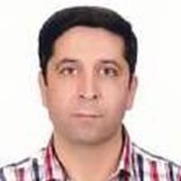 حمید قره حسن لو