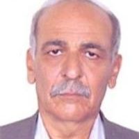 حمید هادی
