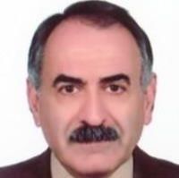 حمید حکمی