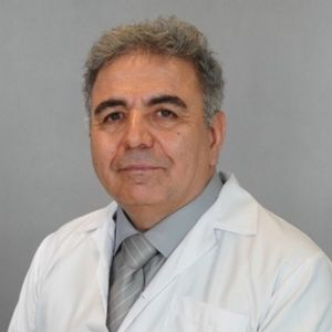 حمید کریم زاده