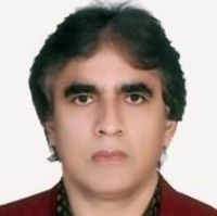 حمید فریدی