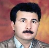 حمیدرضا بهمنی بهلولی