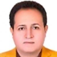 حمیدرضا راعی