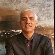 پروفسور حمیدرضا سعیدی