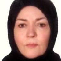 حمیری جیدی