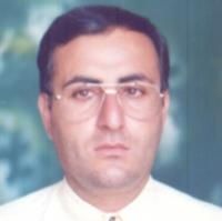 حمزه بوربور