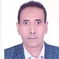 حمزه زارعی