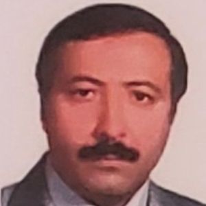 حسن فتحی