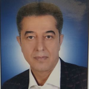 حسن شریفی خاتون آبادی