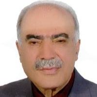 حسن سلطانی