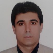 حسن غریبی