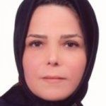 هاوژین سادات هاشمی گرجی