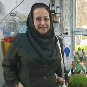 هنگامه جمشیدی