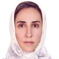 هیلا حاجی زاده صفار