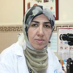 هما طباطبایی