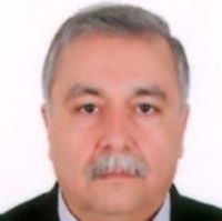 همایون زجاجی