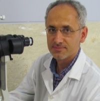 همایون نیک خواه
