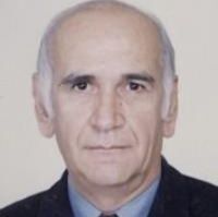 حسین دانائی