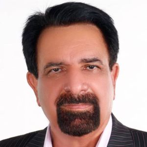 حسین دولت