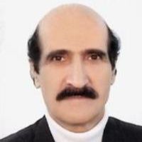 حسین حامدی