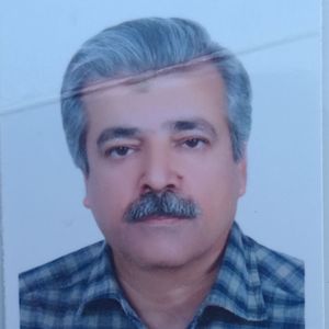 حسین خرمی