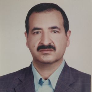حسین شاهون