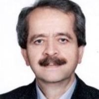 حسین عاملی