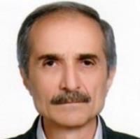 حسین فیض